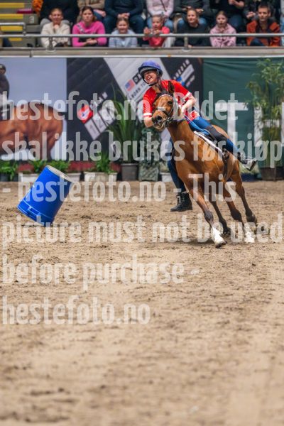 20241019-164505-2024-10-19-16-45-06-33-NIKON-Z-9