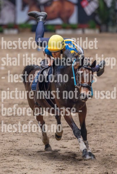 20241019-164622-2024-10-19-16-46-23-88-NIKON-Z-9
