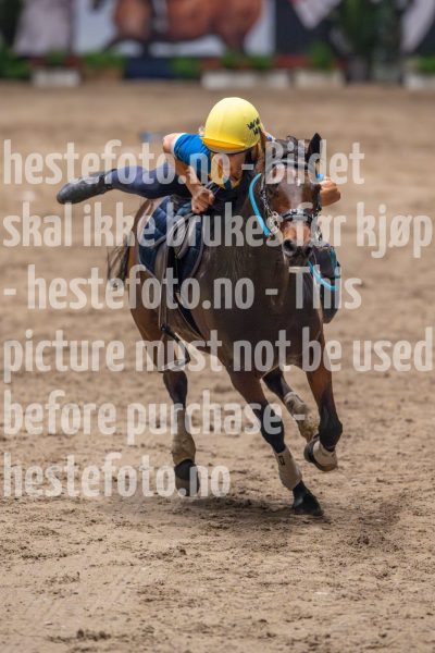 20241019-164623-2024-10-19-16-46-23-03-NIKON-Z-9