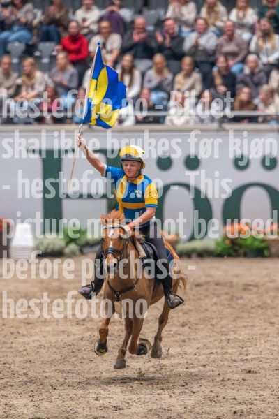 20241019-164910-2024-10-19-16-49-11-80-NIKON-Z-9