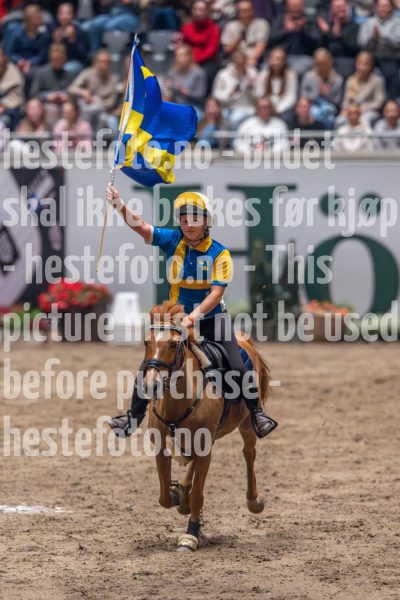 20241019-164911-2024-10-19-16-49-12-11-NIKON-Z-9
