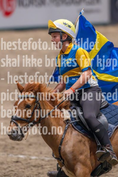 20241019-164914-2024-10-19-16-49-14-41-NIKON-Z-9