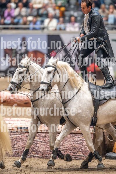 20241019-170506-2024-10-19-17-05-07-91-NIKON-Z-9