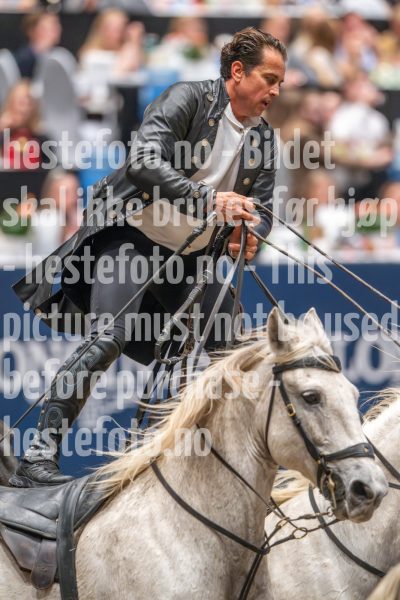 20241019-170643-2024-10-19-17-06-43-34-NIKON-Z-9