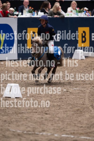 20241019-172208-2024-10-19-17-22-08-07-NIKON-Z-9-2