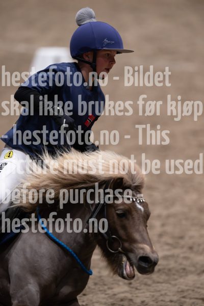 20241019-172212-2024-10-19-17-22-13-39-NIKON-Z-9-2