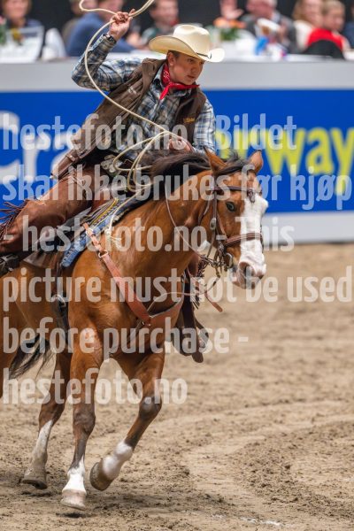 20241019-173715-2024-10-19-17-37-16-81-NIKON-Z-9