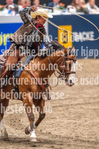 20241019-173716-2024-10-19-17-37-17-31-NIKON-Z-9