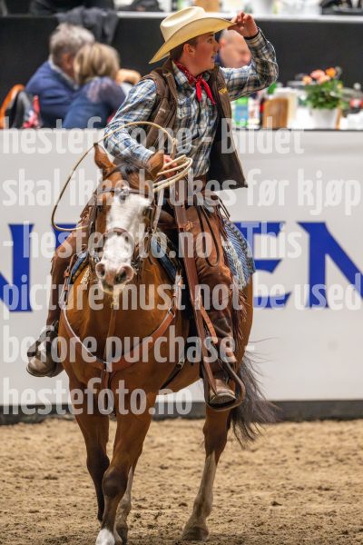 20241019-173922-2024-10-19-17-39-23-99-NIKON-Z-9