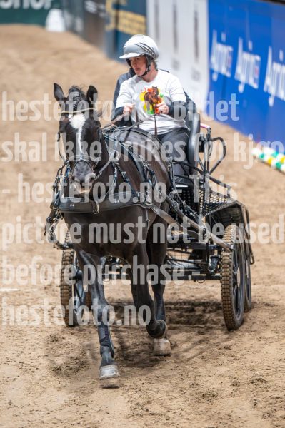 20241019-182452-2024-10-19-18-24-52-32-NIKON-Z-6-2