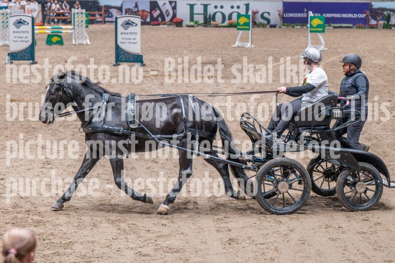 20241019-182454-2024-10-19-18-24-54-14-NIKON-Z-6-2