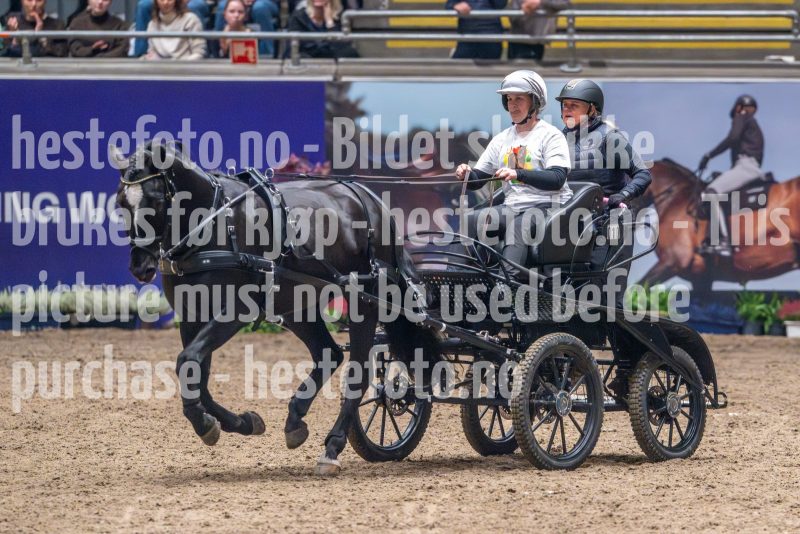 20241019-182532-2024-10-19-18-25-33-98-NIKON-Z-9