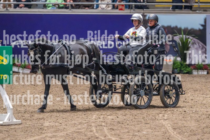 20241019-182533-2024-10-19-18-25-33-33-NIKON-Z-9