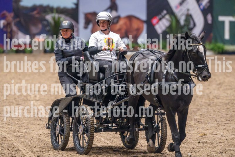 20241019-182601-2024-10-19-18-26-01-43-NIKON-Z-9