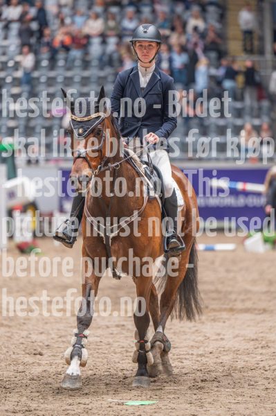 20241019-191020-2024-10-19-19-10-20-04-NIKON-Z-6-2