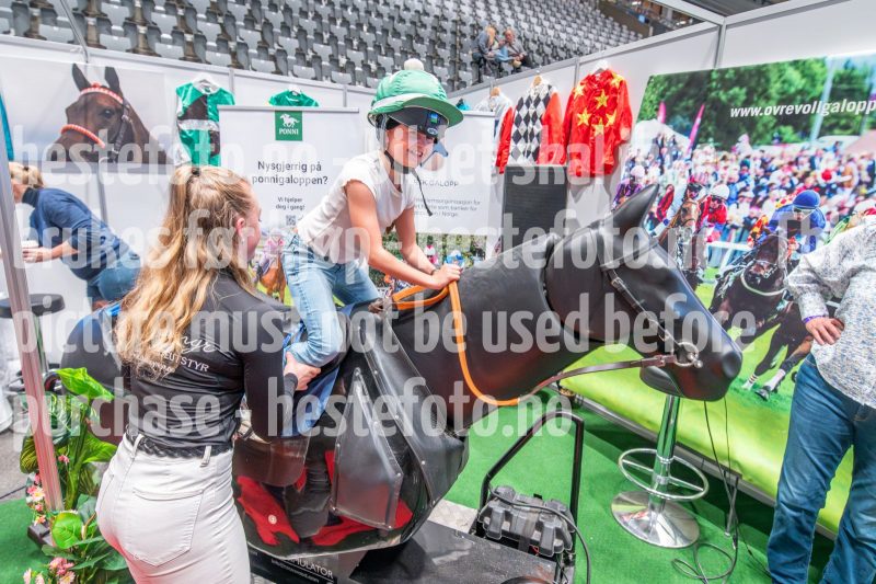 20241019-192507-2024-10-19-19-25-08-44-NIKON-Z-6-2