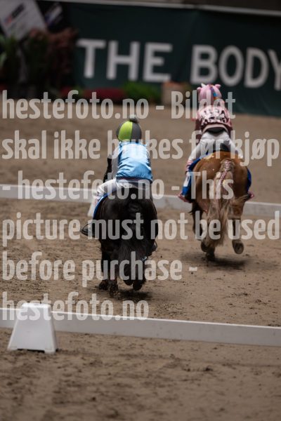 20241020-131050-2024-10-20-13-10-51-79-NIKON-Z-9-2
