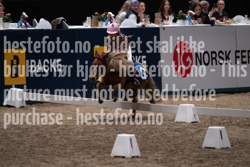 20241020-131504-2024-10-20-13-15-04-11-NIKON-Z-9-2