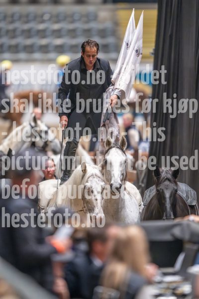 20241020-132345-2024-10-20-13-23-45-07-NIKON-Z-9