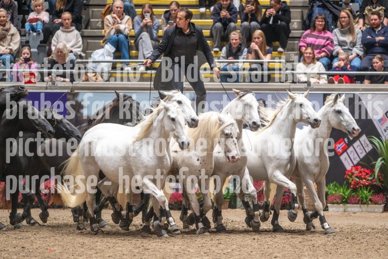 20241020-132624-2024-10-20-13-26-24-46-NIKON-Z-9