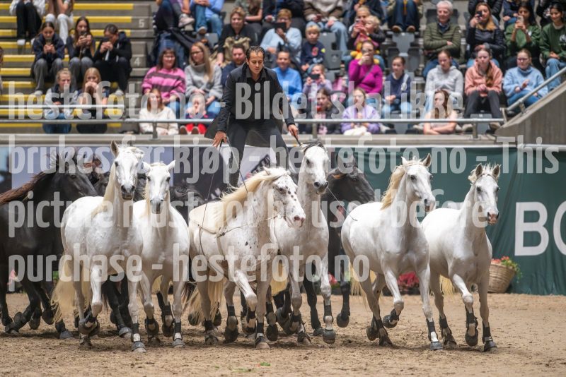 20241020-132626-2024-10-20-13-26-26-10-NIKON-Z-9