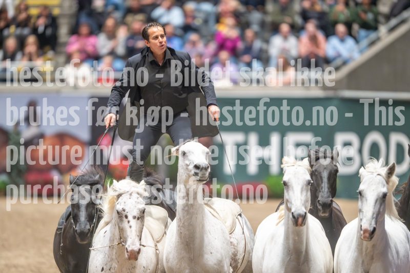 20241020-132631-2024-10-20-13-26-32-80-NIKON-Z-9