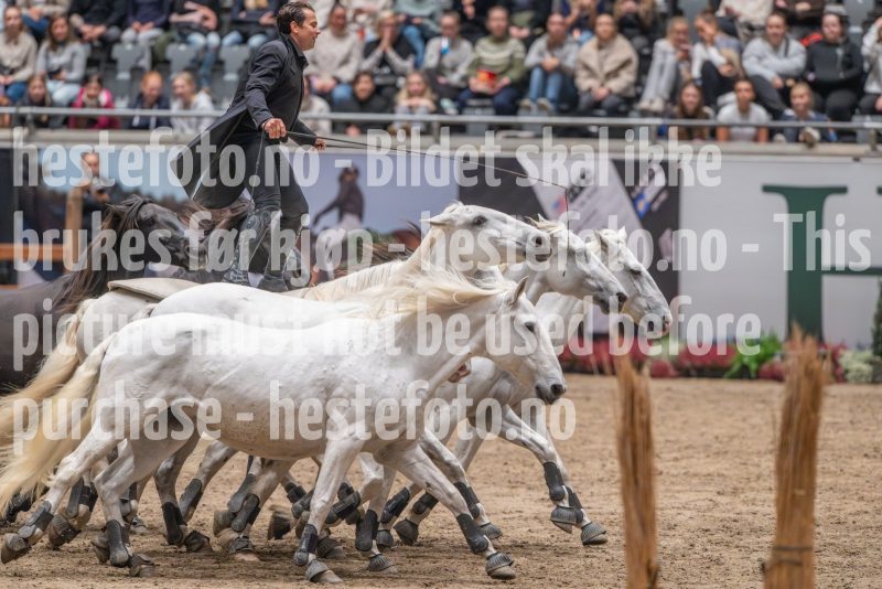 20241020-132655-2024-10-20-13-26-55-41-NIKON-Z-9
