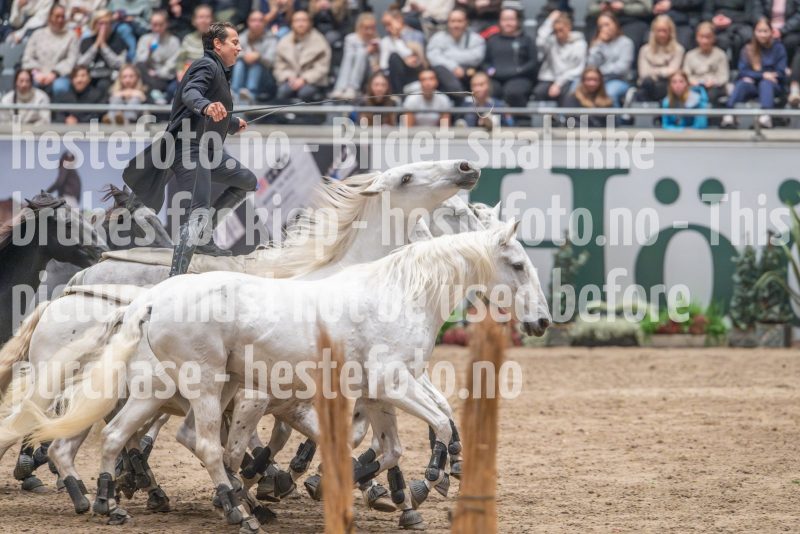 20241020-132655-2024-10-20-13-26-56-72-NIKON-Z-9