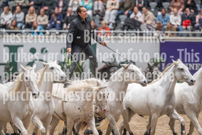 20241020-132708-2024-10-20-13-27-08-37-NIKON-Z-9