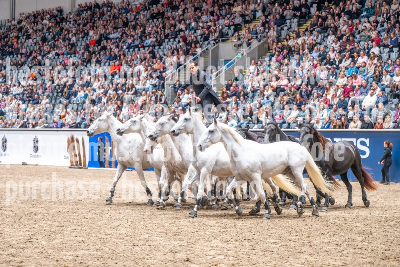20241020-132722-2024-10-20-13-27-23-94-NIKON-Z-6-2