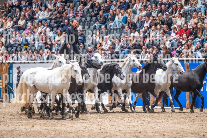 20241020-132838-2024-10-20-13-28-38-21-NIKON-Z-6-2