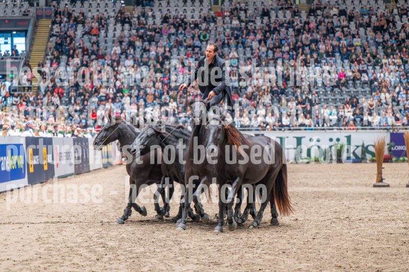 20241020-132926-2024-10-20-13-29-26-38-NIKON-Z-6-2