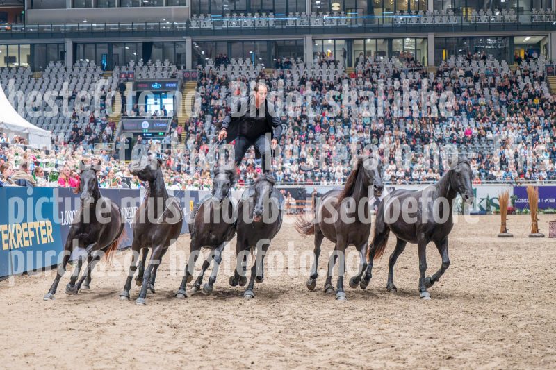 20241020-132927-2024-10-20-13-29-28-89-NIKON-Z-6-2