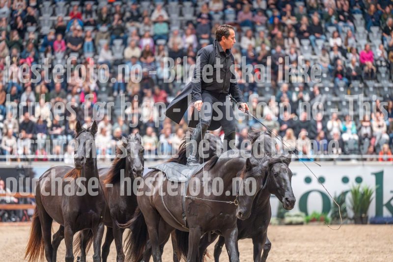 20241020-133112-2024-10-20-13-31-13-78-NIKON-Z-6-2