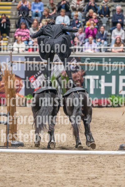 20241020-133234-2024-10-20-13-32-35-43-NIKON-Z-9