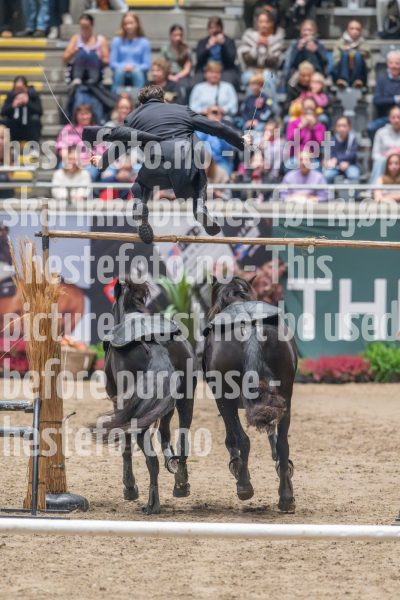 20241020-133234-2024-10-20-13-32-35-62-NIKON-Z-9