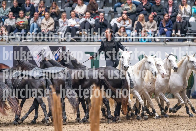 20241020-133445-2024-10-20-13-34-45-17-NIKON-Z-9