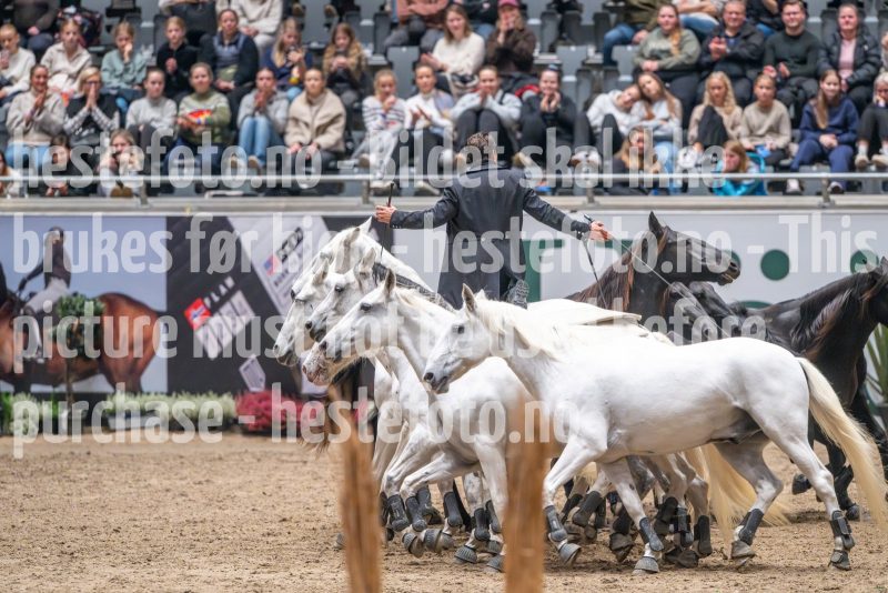 20241020-133447-2024-10-20-13-34-48-96-NIKON-Z-9