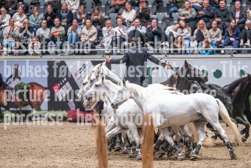 20241020-133448-2024-10-20-13-34-48-02-NIKON-Z-9