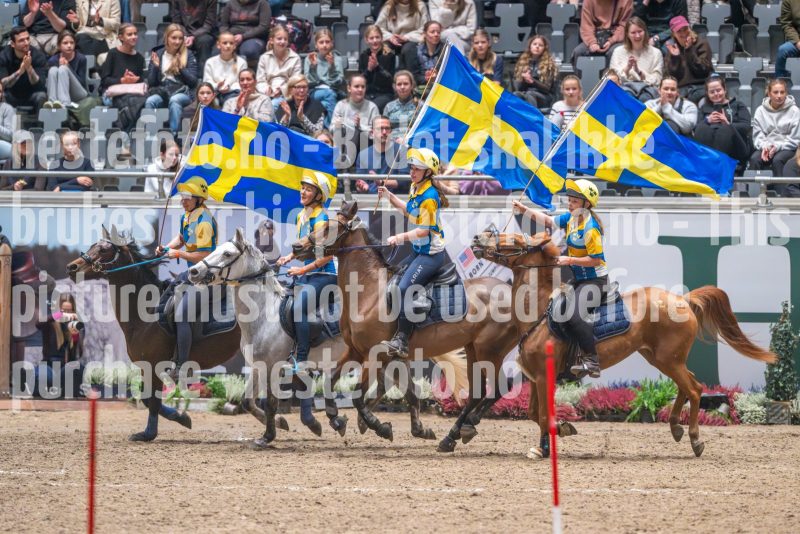 20241020-134933-2024-10-20-13-49-33-33-NIKON-Z-9