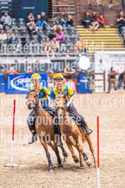 20241020-135044-2024-10-20-13-50-45-97-NIKON-Z-6-2