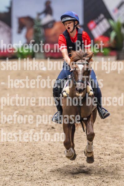 20241020-135227-2024-10-20-13-52-28-23-NIKON-Z-9