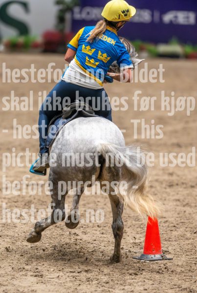 20241020-135349-2024-10-20-13-53-49-19-NIKON-Z-9