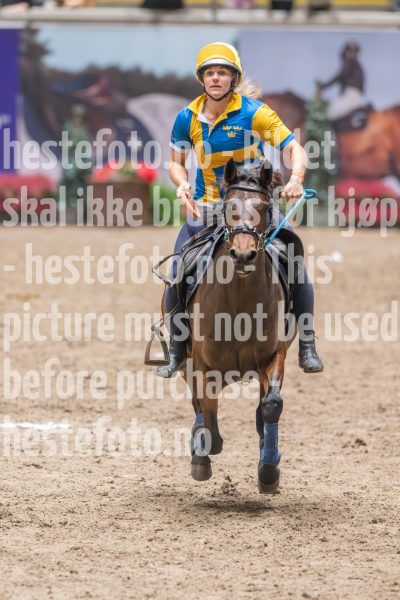 20241020-135512-2024-10-20-13-55-13-59-NIKON-Z-9