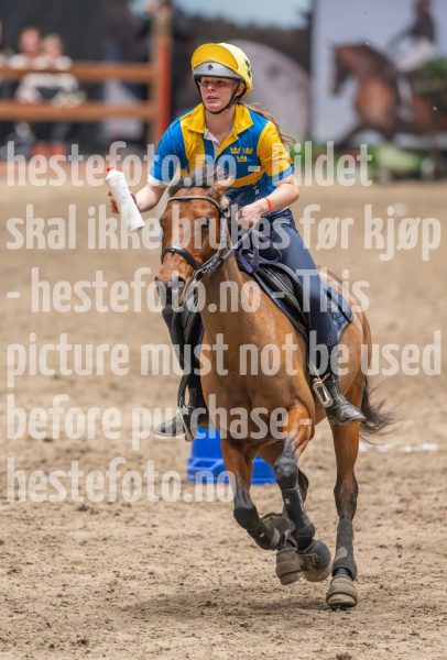 20241020-135631-2024-10-20-13-56-31-55-NIKON-Z-9