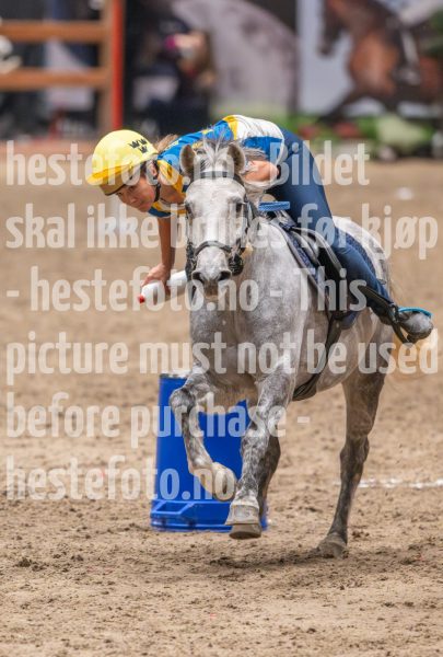 20241020-135659-2024-10-20-13-57-00-48-NIKON-Z-9