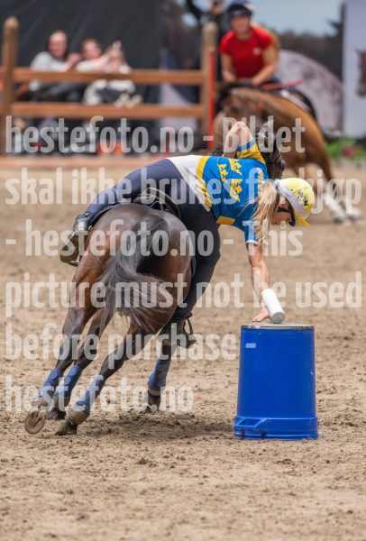 20241020-135711-2024-10-20-13-57-11-42-NIKON-Z-9