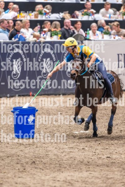 20241020-135833-2024-10-20-13-58-33-17-NIKON-Z-9
