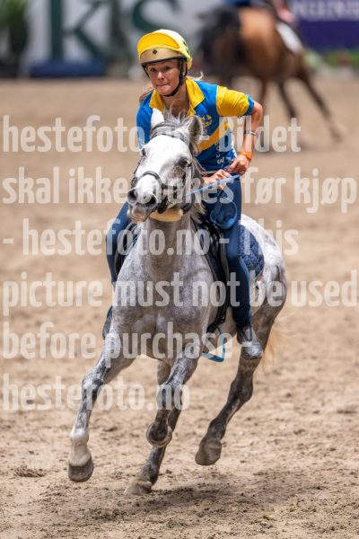 20241020-140030-2024-10-20-14-00-30-11-NIKON-Z-9