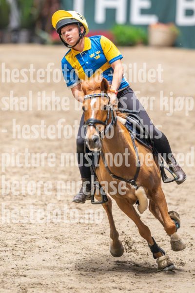 20241020-140044-2024-10-20-14-00-45-04-NIKON-Z-9